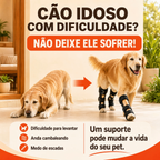 Premium Dog Knee Brace