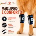 Premium Dog Knee Brace