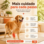 Premium Dog Knee Brace